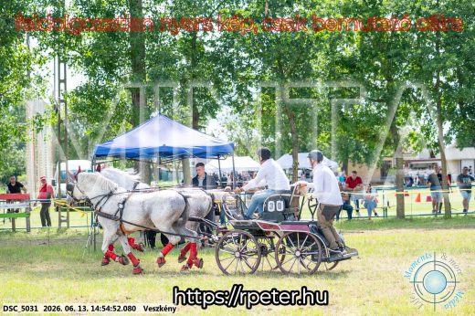 Mintakép 20260613-917