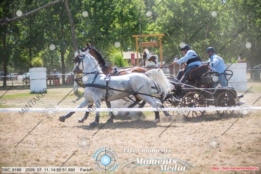 Mintakép 20260711-236