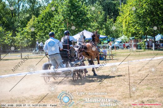 Mintakép 20260711-238
