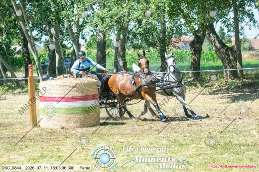 Mintakép 20260711-260