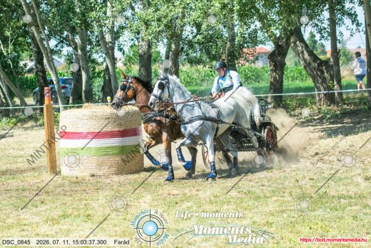 Mintakép 20260711-261