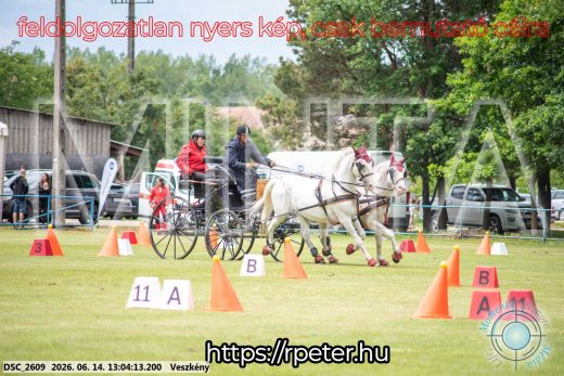 Mintakép 20260614-314