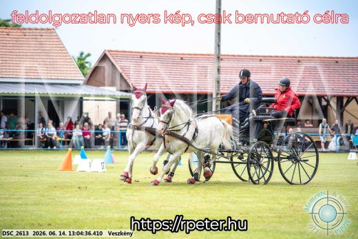 Mintakép 20260614-317