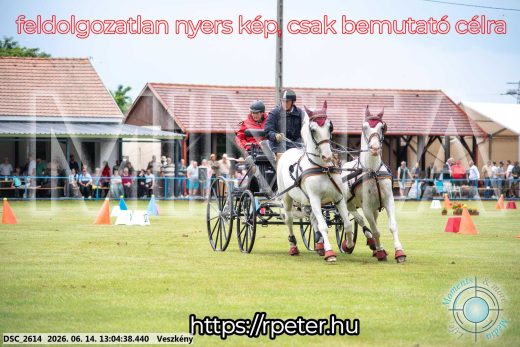 Mintakép 20260614-318