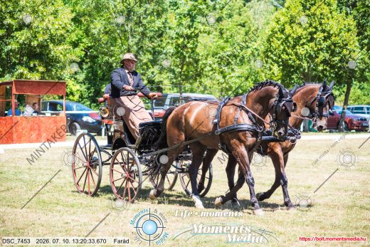 Mintakép 20260710-244