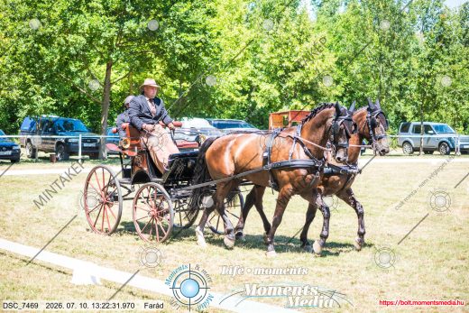 Mintakép 20260710-251