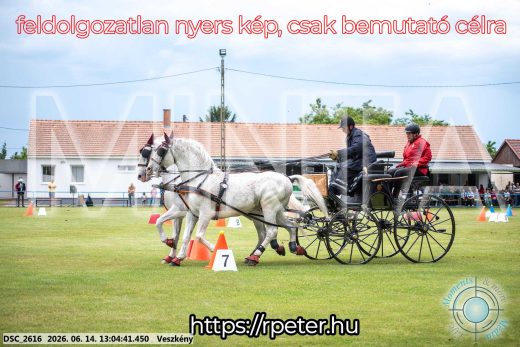 Mintakép 20260614-320