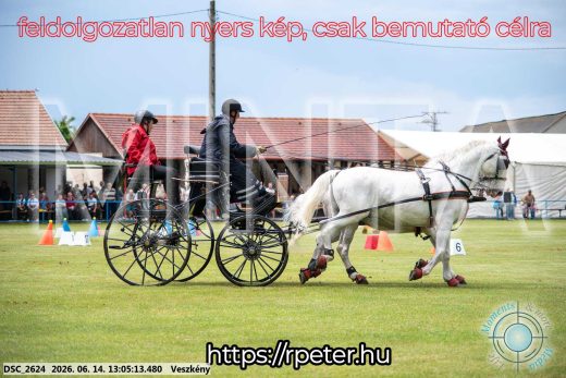 Mintakép 20260614-327