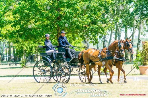 Mintakép 20260710-270