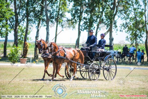 Mintakép 20260710-285