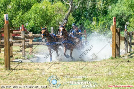 Mintakép 20260711-343