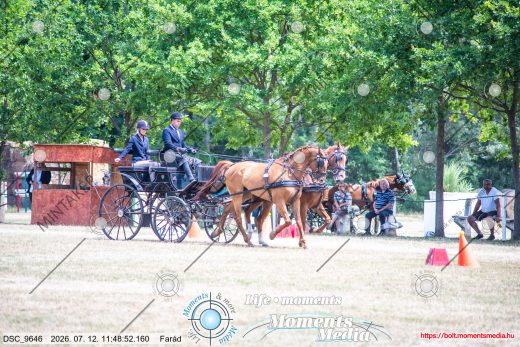 Mintakép 20260712-212