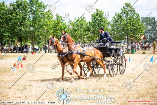 Mintakép 20260712-232