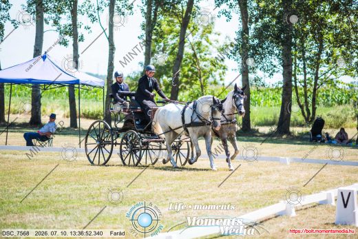 Mintakép 20260710-314