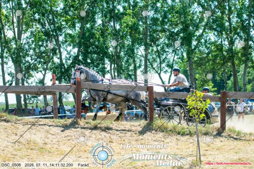 Mintakép 20260711-357