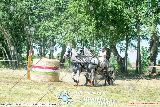 Mintakép 20260711-376
