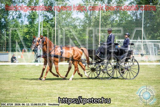 Mintakép 20260612-508