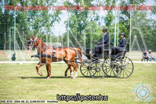 Mintakép 20260612-511