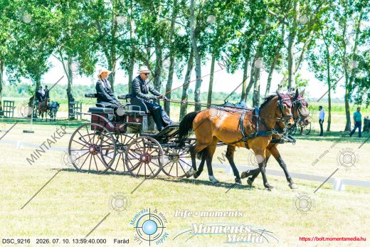 Mintakép 20260710-341