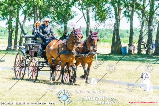 Mintakép 20260710-353