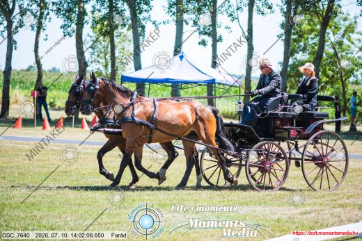 Mintakép 20260710-356