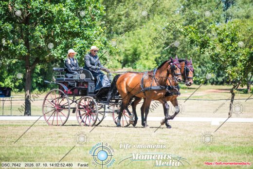 Mintakép 20260710-361