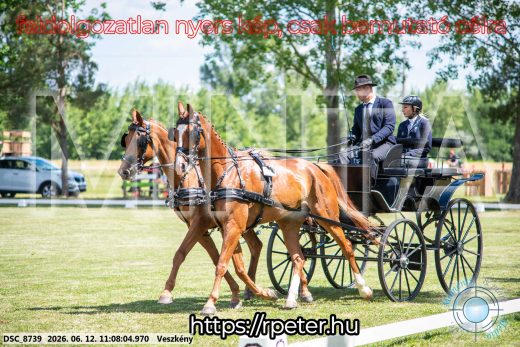 Mintakép 20260612-515
