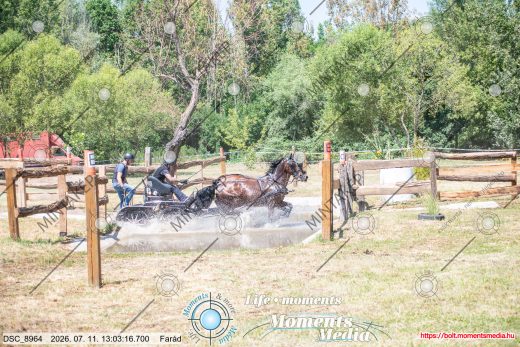 Mintakép 20260711-403
