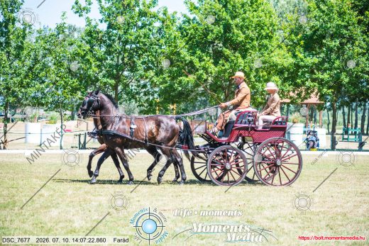 20260710-140722-DSC_7677.jpg