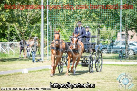 Mintakép 20260612-519