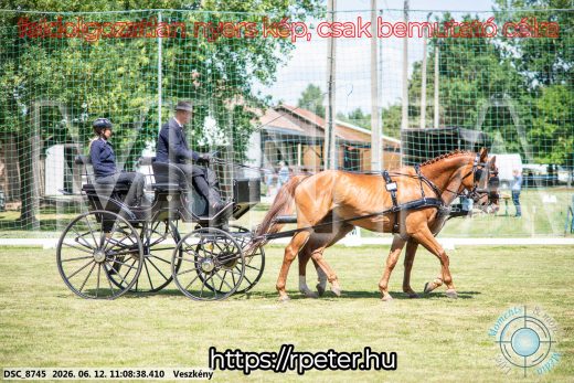 Mintakép 20260612-521