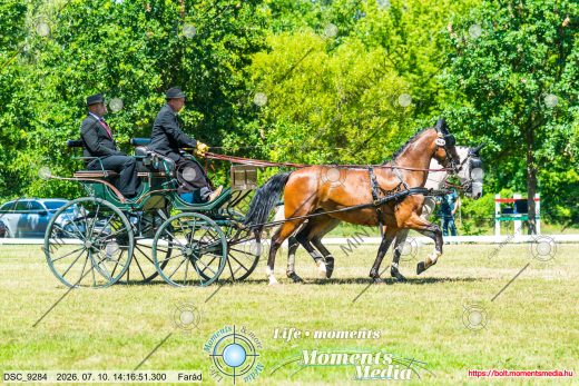 20260710-141651-DSC_9284.jpg