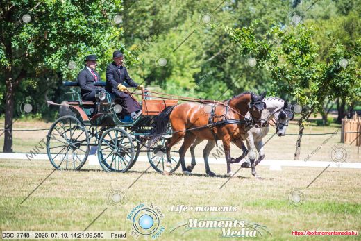Mintakép 20260710-418