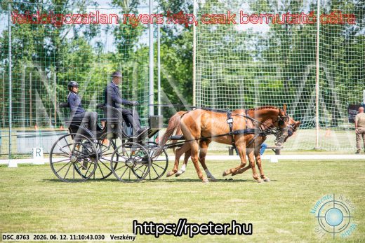 Mintakép 20260612-526