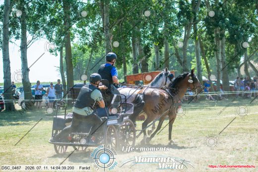 Mintakép 20260711-439