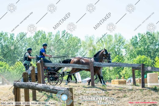 Mintakép 20260711-442