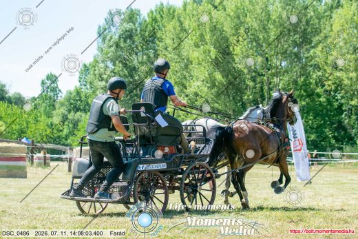 Mintakép 20260711-446