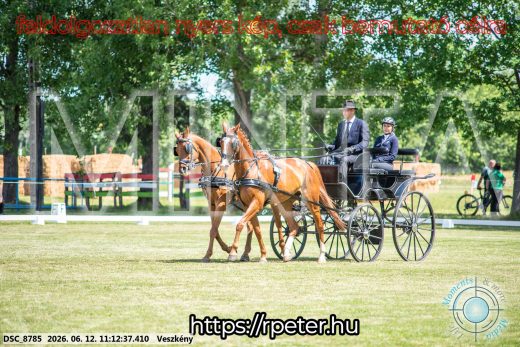 Mintakép 20260612-530
