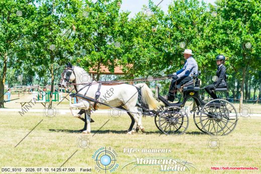 20260710-142547-DSC_9310.jpg