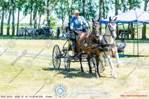Mintakép 20260710-436