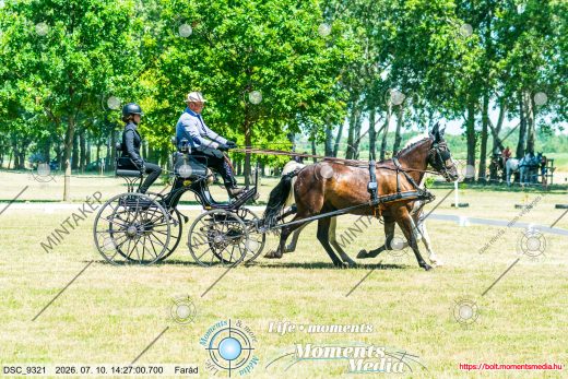 Mintakép 20260710-437