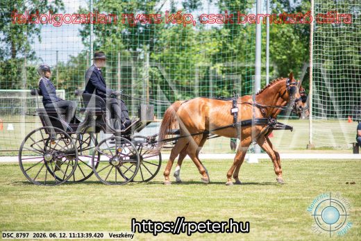 Mintakép 20260612-533