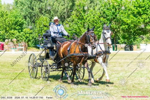 Mintakép 20260710-451