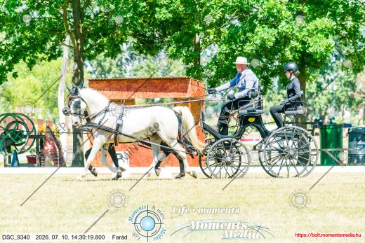 Mintakép 20260710-453