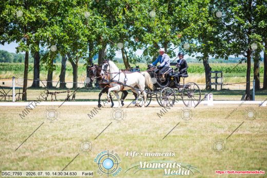 Mintakép 20260710-454