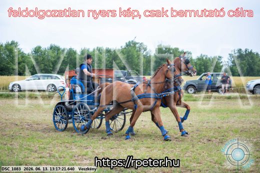 Mintakép 20260613-926