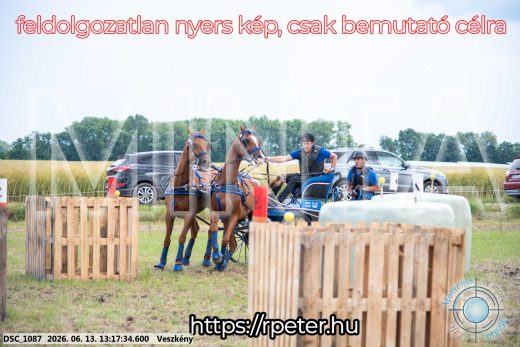 Mintakép 20260613-929