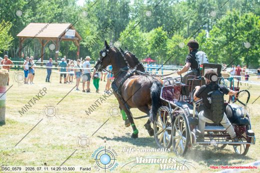 Mintakép 20260711-505