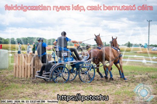 Mintakép 20260613-933