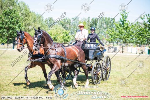 Mintakép 20260710-513